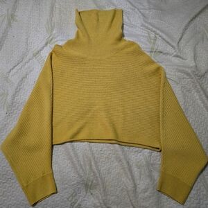 Aritzia Wilfred free Batwing